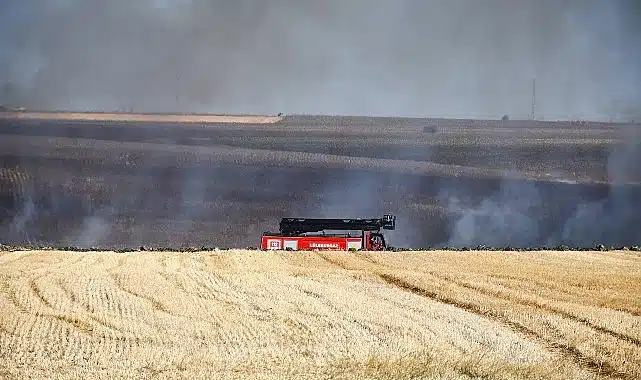 3 günde 70 hektarlık alan kül oldu