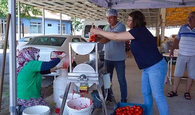 Ayvalık’ta Salça Zamanı Başlıyor!