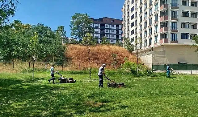 Gebze Tatlıkuyu Vadisi Kent Parkı’na düzenli bakım