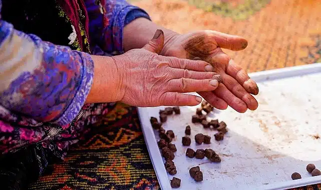 İnci GS Yuasa Akü’den doğaya 100.000 tohumluk katkı!