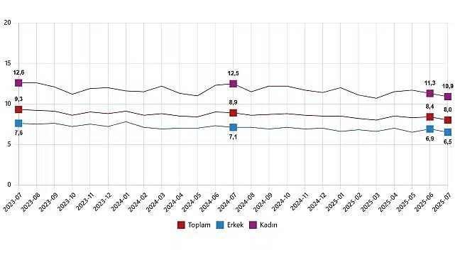 İşgücü İstatistikleri, Temmuz 2025