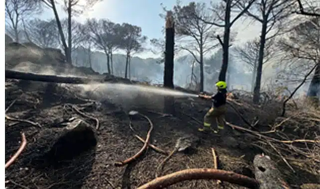 İzmir İtfaiyesi Bergama’da alevlerle mücadele ediyor
