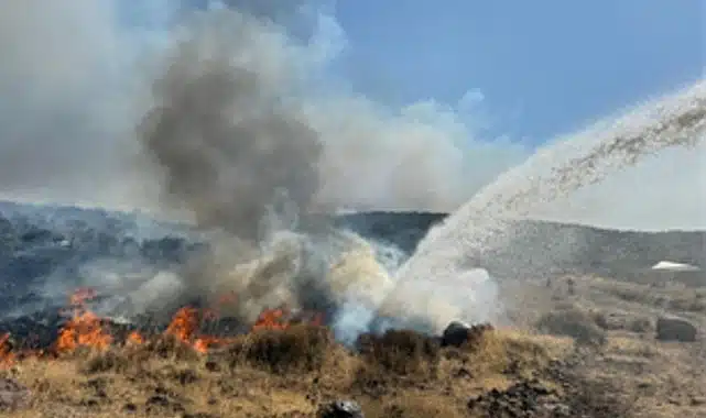 İzmir İtfaiyesi kentsel ve kırsal yangınlarla mücadele ediyor
