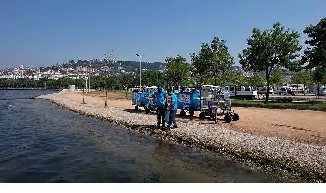 Kocaeli sahilleri hem bakımlı hem de pırıl pırıl