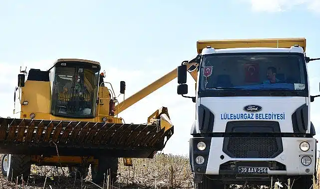 Lüleburgaz Belediyesi’nden ayçiçeği hasadı