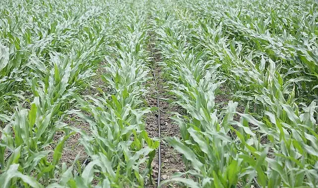 PepsiCo Suyun Geleceğini Koruma Konusunda Kararlı Adımlar Atmaya Devam Ediyor