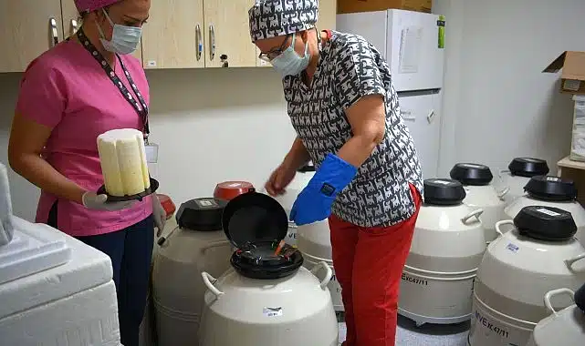 Türkiye’nin ilk Tüp Bebek Merkezinde anne baba olma hayaline bilimsel dokunuş