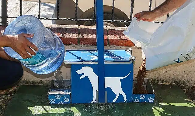 Yazın Sıcak Günlerinde Küçükçekmece Belediyesi’nden Sokak Hayvanlarına Can Suyu Çağrısı