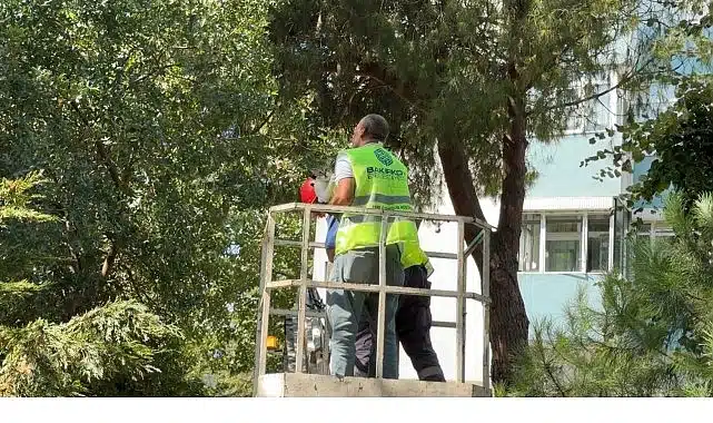 Bakırköy Belediyesi Ekipleri Kurtardı