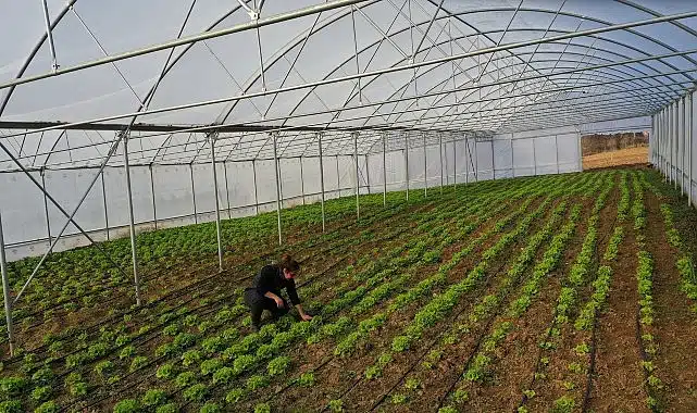 Büyükşehir’den çiftçilere modern sera desteği