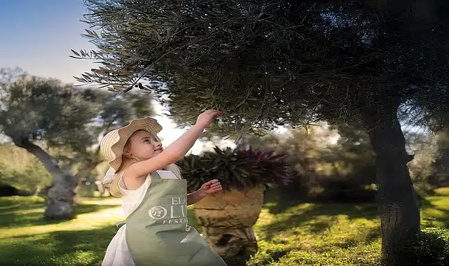 Ela Excellence Resort Belek’te Zeytin Ağaçlarının Gölgesinde Unutulmaz Bir Yolculuk