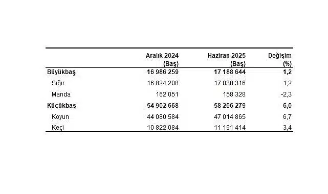 Hayvancılık İstatistikleri, Haziran 2025