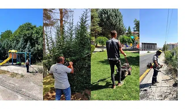 İlçe Genelinde Yabani Ot ve Çim Biçme Seferberliği