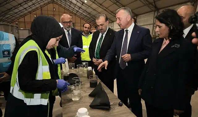 İzmit Körfezi, Maldivler’e benzemeye başlamış