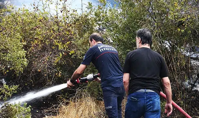 Kemer’de orman yangını