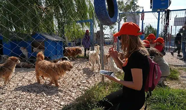 Borusan Pati Elçileri’nden sokağa terk edilmiş can dostlara mama, koruyucu aile ve sahiplendirme desteği