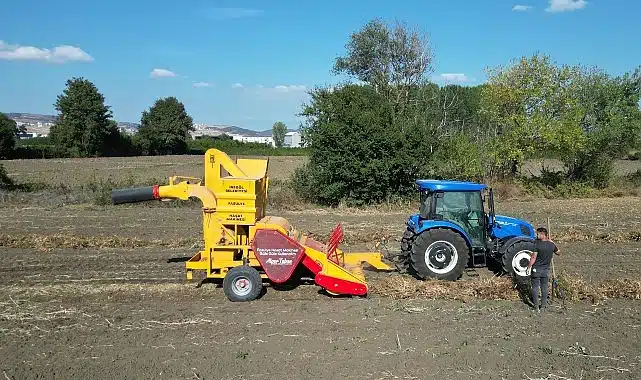 İnegöl’ün Cerrah Kuru Fasulyesinde Hasat Zamanı