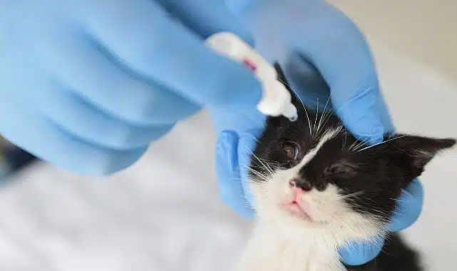 Konak, can dostlarının yanında