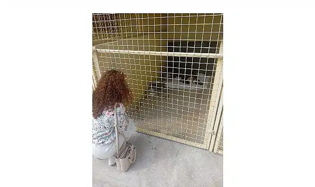 Öğrencilerden barınağa ziyaret