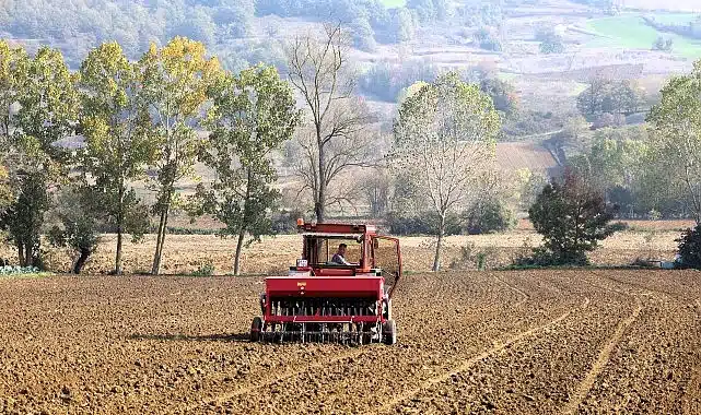 Büyükşehir’in hibeli tohumları toprakla buluştu