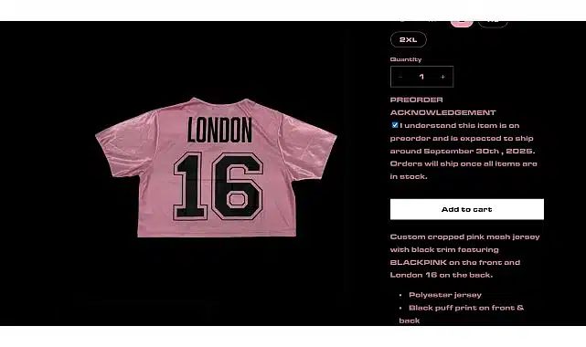 Kaspersky, BlackPink Dünya Turu Sırasında Ortaya Çıkan Sahte Ürün Dolandırıcılıklarını Tespit Etti