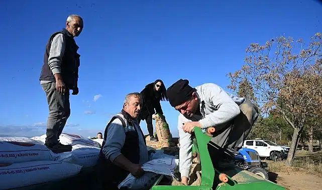 Salihli Belediyesi Buğday Ekimine Başladı