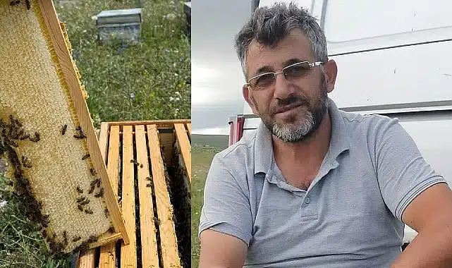 Kars platosunda doğaya saygılı arıcılık