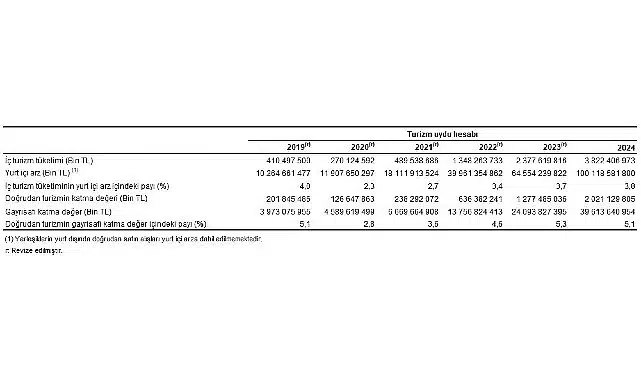 Turizm Uydu Hesabı, 2024