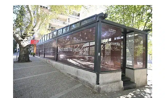 Eros Kedi Kliniği Bornova’da umut merkezi oldu