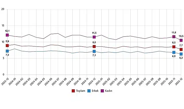 İşgücü İstatistikleri, Aralık 2025