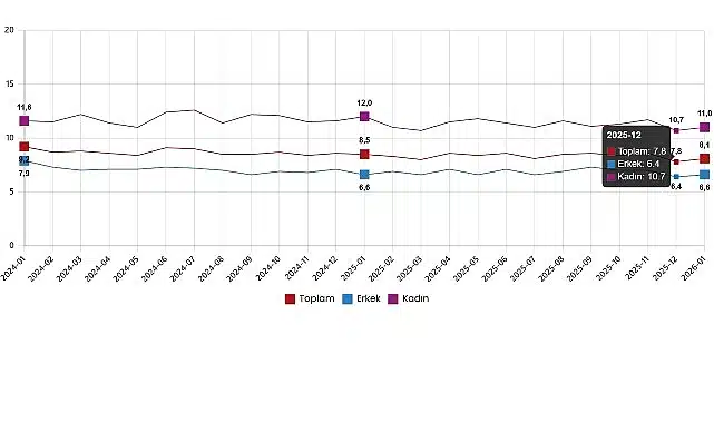 İşgücü İstatistikleri, Ocak 2026
