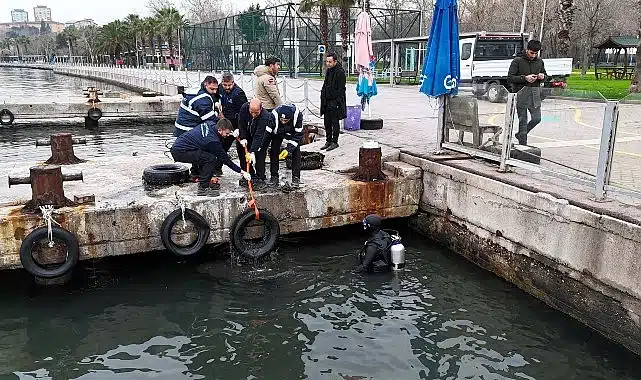 Körfez’de deniz dibi araç lastiğinden temizlendi