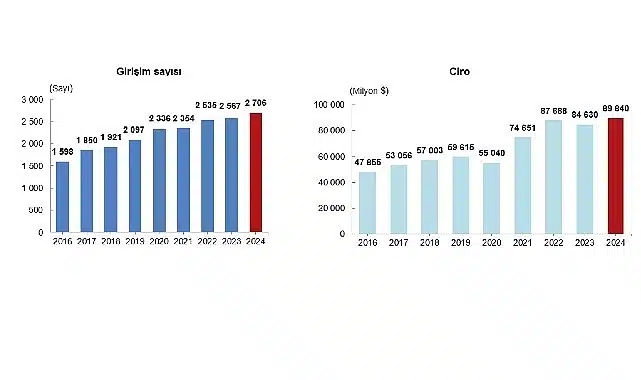 Yurt Dışında Kontrol Edilen Girişim İstatistikleri, 2024