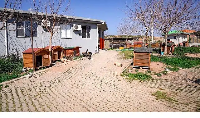 Başkan Yetişkin: “Artık çöpe giden yemekler can dostlarımız için mamaya dönüşüyor”