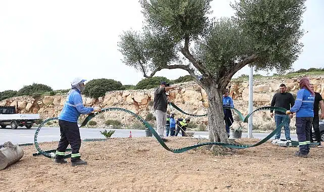 Didim Belediyesi, Didim’e Çıkan Yolları Daha Da Güzelleştiriyor