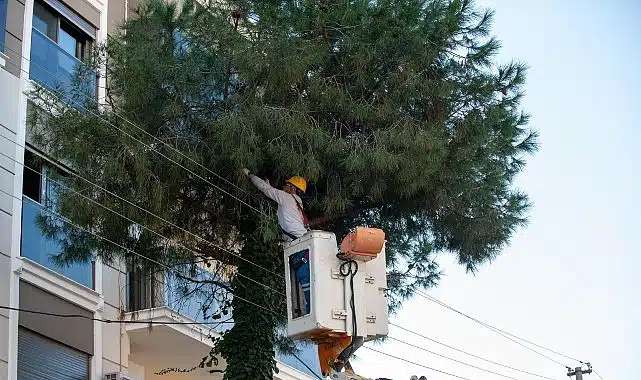 Karşıyaka’da budama seferberliği: Ağaçlar bahara hazırlanıyor