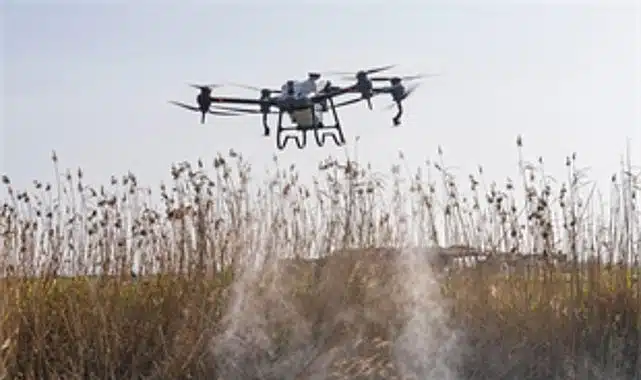 Sivrisinek ve zararlılara karşı İzmir modeli