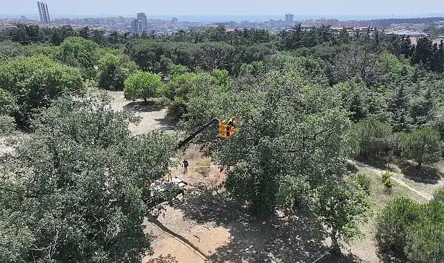 “Üsküdar Belediyesi’nin “Validebağ Korusu”nda Yaptığı Çalışmalar Avrupa’nın En İyi Uygulamaları Arasında