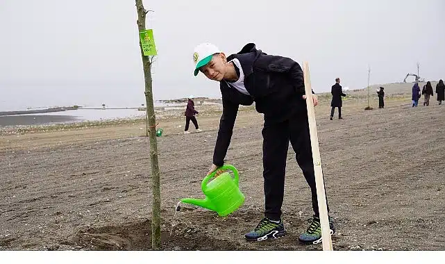 Yeni Yaşam Alanında Çınar Ağaçları Yükselecek